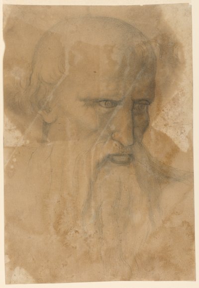Egy idős szakállas férfi feje alkotó: Unknown artist