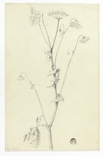 Bürök alkotó: Unknown artist