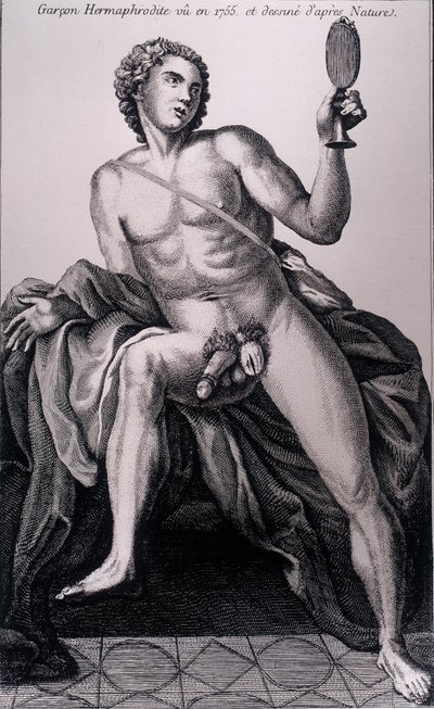 Hermafrodita fiú 1755-ben, és a természetből származott. alkotó: Unknown artist