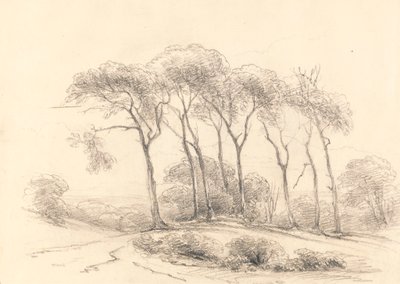 Magas fák alkotó: Unknown artist