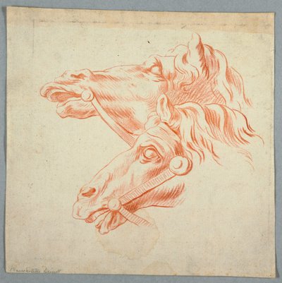 Lótanulmányok alkotó: Unknown artist