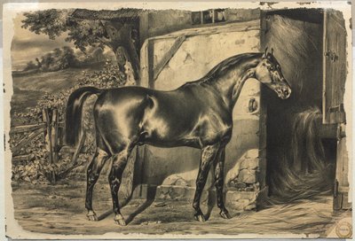 Ló az istálló előtt (verso) alkotó: Unknown artist