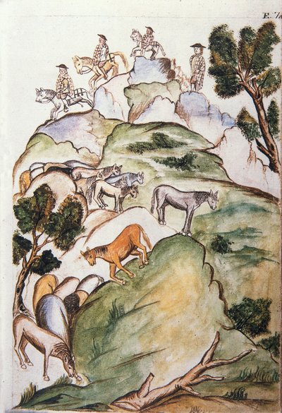 A "Trujillo del Peru" vagy "Codex Martinez Companion" könyv, Baltazar Martinez Companion és Bujanda, Trujillo püspöke (1782-1785) alkotó: Unknown artist
