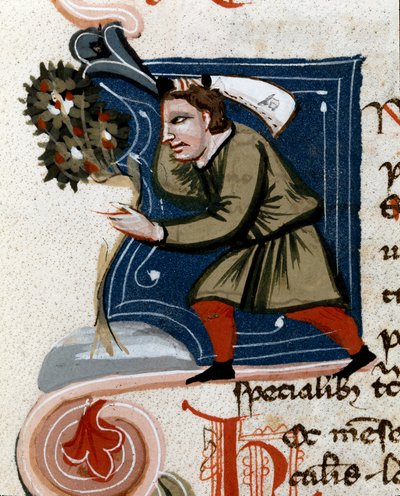 Kertészet: fa cserepes. Részlet. Kéziratos oldal (MS.s.vi) Pietro de Crescenzi "" Agrárcsemege "" (Crescent Stone vagy Crescens Stone) (1233-1320) 14. századi Cesena, Biblioteca Malatestiana alkotó: Unknown artist