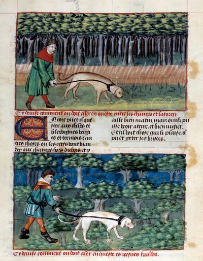 Hogyan viselkedjünk a kutyákkal Miniatűr Gaston III Phoebus, Foix grófja, Medve ura (1331-1391) „A vadászat könyvéből” alkotó: Unknown artist