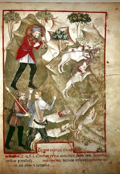 Vadászat (miniatűr, XIV. század) alkotó: Unknown artist