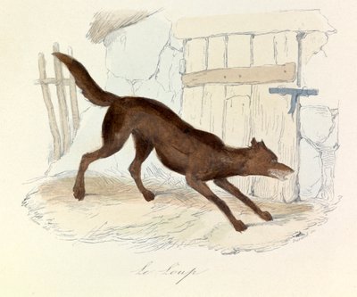 Illusztráció a "Buffon összes művei" című könyvből: Buffon: Les animaux: Buffon: Le loup (metszet) alkotó: Unknown artist