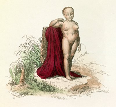 Illusztráció a "Buffon összes művei" című könyvből: Buffon: Az ember természettörténete: Buffon: Fehér Negresse (metszet) alkotó: Unknown artist