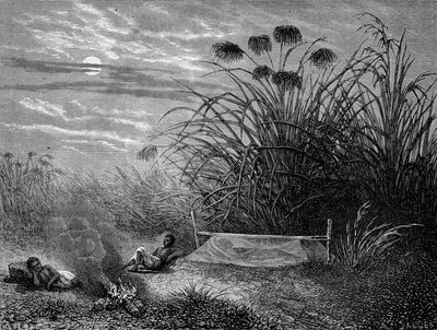 In Masoumbo: Livingstone szúnyogháló - "" Livingstone utolsó utazása 1866-1873"" in "" Tour du Monde"", 2. szem. 1875 alkotó: Unknown artist