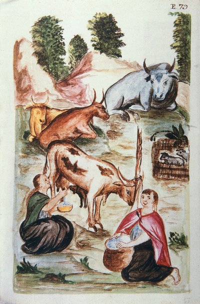 Teheneket gondozó indiai pásztorok, Baltazar Martinez Compañón y Bujanda, Trujillo püspöke (1782-1785) "Trujillo del Peru" vagy "Códice Martínez Compañón" című könyvéből alkotó: Unknown artist