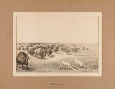 Farkasnak álcázott indiánok - 13. sz. alkotó: Unknown artist