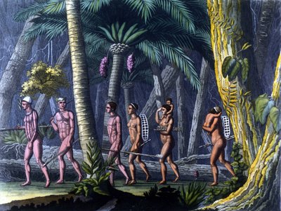Puris indiánok az erdőben (Brazília) - „Az ősi és modern jelmezben” Ferrario, szerk. Milano alkotó: Unknown artist