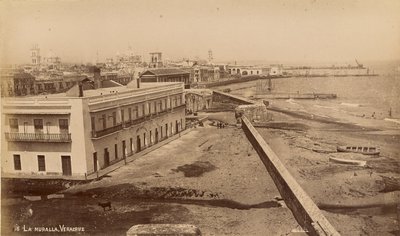 La Muralla, Veracruz alkotó: Unknown artist