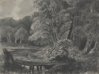 Táj tóval alkotó: Unknown artist