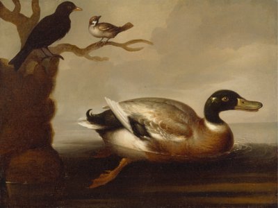 Tőkés réce és más madarak alkotó: Unknown artist