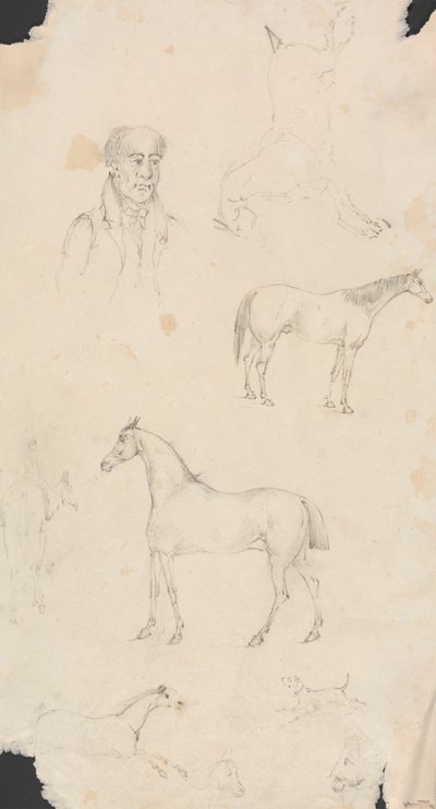 Ember, lovak és kutyák alkotó: Unknown artist