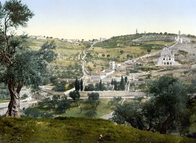 Olajfák hegye és Gecsemani, Jeruzsálem. Photochrome 1890-1900 között. alkotó: Unknown artist