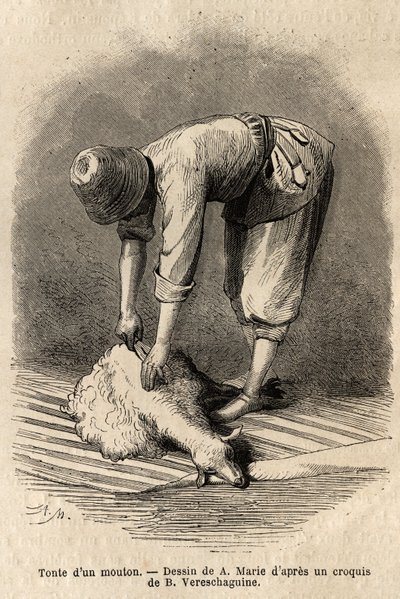 Birkát kaszál egy tatár fiatalember, Schusha-ban (Kaukázusi, Oroszország). Basile Vereschaguine 1864-1865-ben a Kaukázus tartományaiban tett utazást illusztráló metszet, megjelent a „le tour du monde”-ban, D
