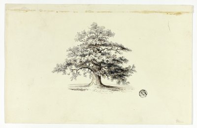 Tölgyfa alkotó: Unknown artist