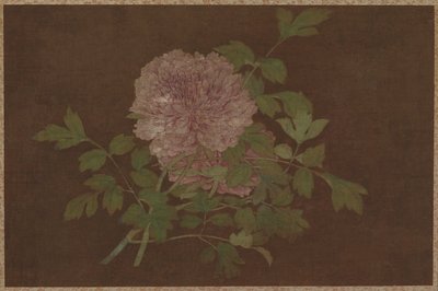 Pünkösdi rózsa alkotó: Unknown artist