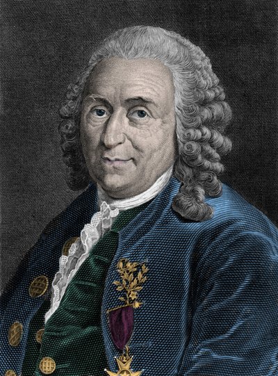Charles Linne (Carl von Linne, Linneus 1707-1778) svéd természettudós portréja. századi metszet. alkotó: Unknown artist