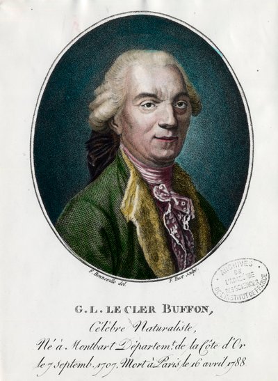 George Louis Le Clerc, Buffon grófjának portréja alkotó: Unknown artist