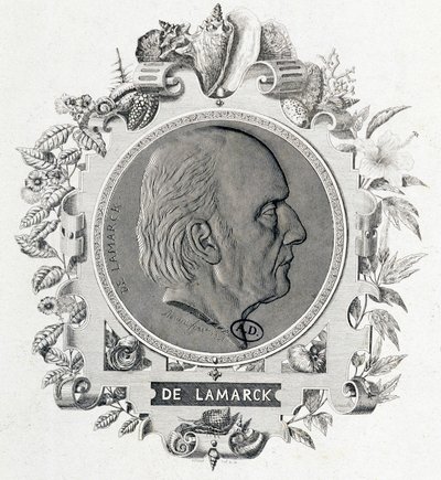 Jean Baptiste Lamarck portréja - metszet alkotó: Unknown artist