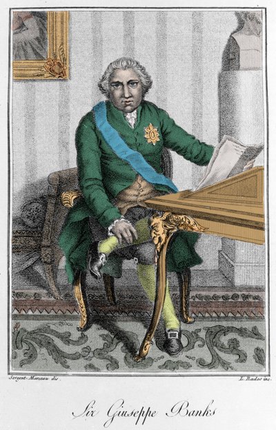Sir Joseph Banks (1743-1820) angol felfedező és természettudós portréja. Színes gravírozás alkotó: Unknown artist