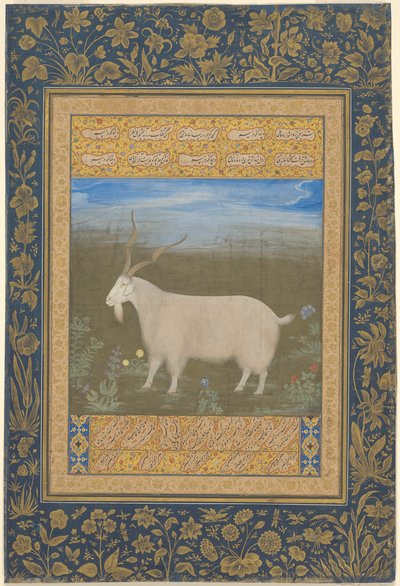 Egy ladakhi hegyi kecske portréja alkotó: Unknown artist