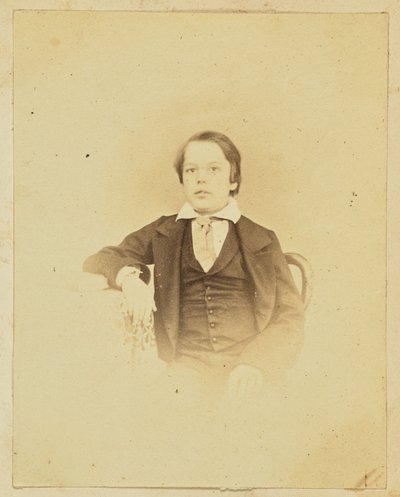 [Egy fiatal fiú portréja] alkotó: Unknown artist
