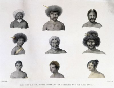 Pápua portréi Rawak szigetéről. alkotó: Unknown artist