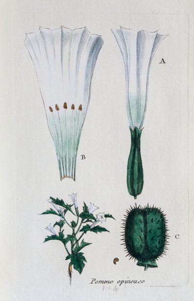 alkotó: Unknown artist