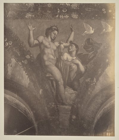 Psyche átadja az edényt Vénusznak alkotó: Unknown artist