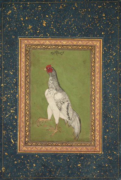 Kakas alkotó: Unknown artist
