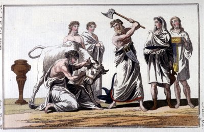 Egy bika feláldozása a kelták között. 19. századi metszet. alkotó: Unknown artist