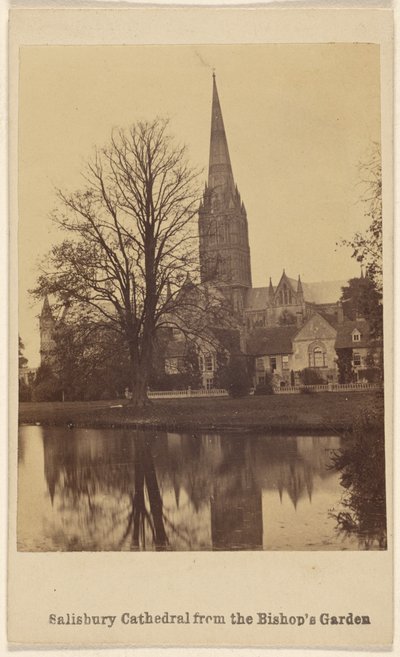 Salisbury székesegyház a püspök kertjéből alkotó: Unknown artist