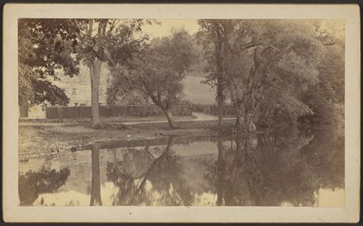 [Silverspring Pond] alkotó: Unknown artist