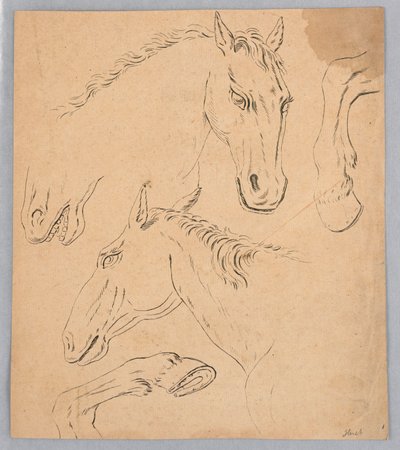 Vázlatok lófejekről és patákról alkotó: Unknown artist