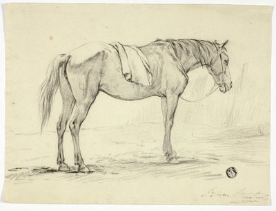 Álló ló alkotó: Unknown artist