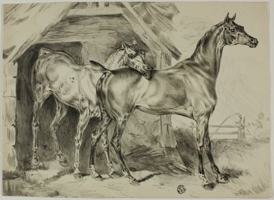 Álló Kanca és Colt alkotó: Unknown artist