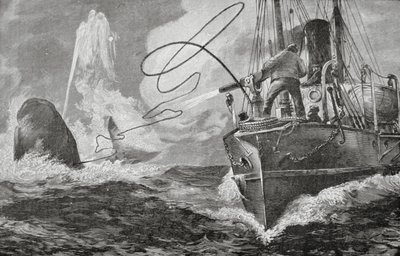 A gőzösök bálnavadászként alkotó: Unknown artist