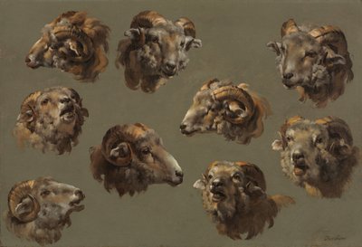 Tanulmányok Ram Headsről alkotó: Unknown artist