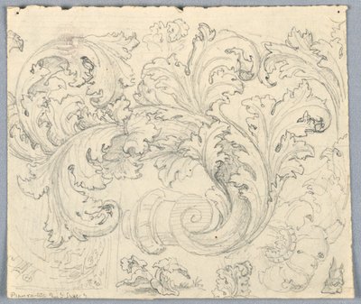 Tanulmány Curling Acanthus Ornamenthez alkotó: Unknown artist