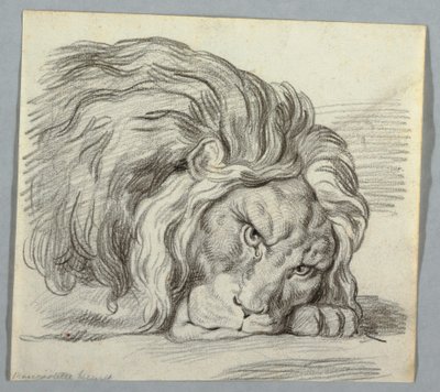 Oroszlántanulmány alkotó: Unknown artist