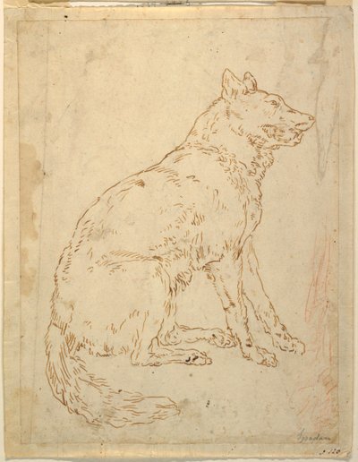 Egy juhászkutya tanulmányozása alkotó: Unknown artist