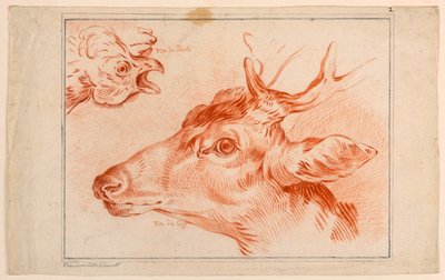Tanulmány a csirke és a szarvas fejéről alkotó: Unknown artist