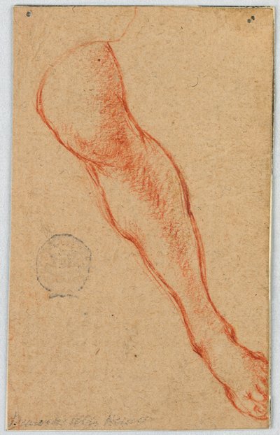 Egy ülő nő bal lábának tanulmányozása alkotó: Unknown artist