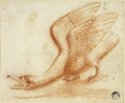 Hattyú alkotó: Unknown artist