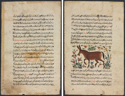 Szöveglap, perzsa próza (Recto); khar (szamár) (verso) alkotó: Unknown artist