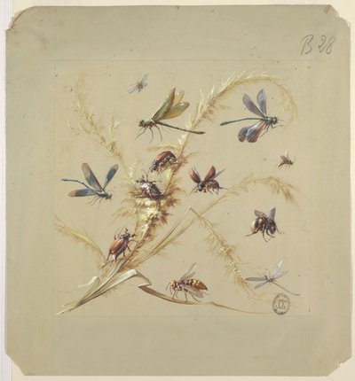 Textil- vagy tapétatervezés: rovarok alkotó: Unknown artist